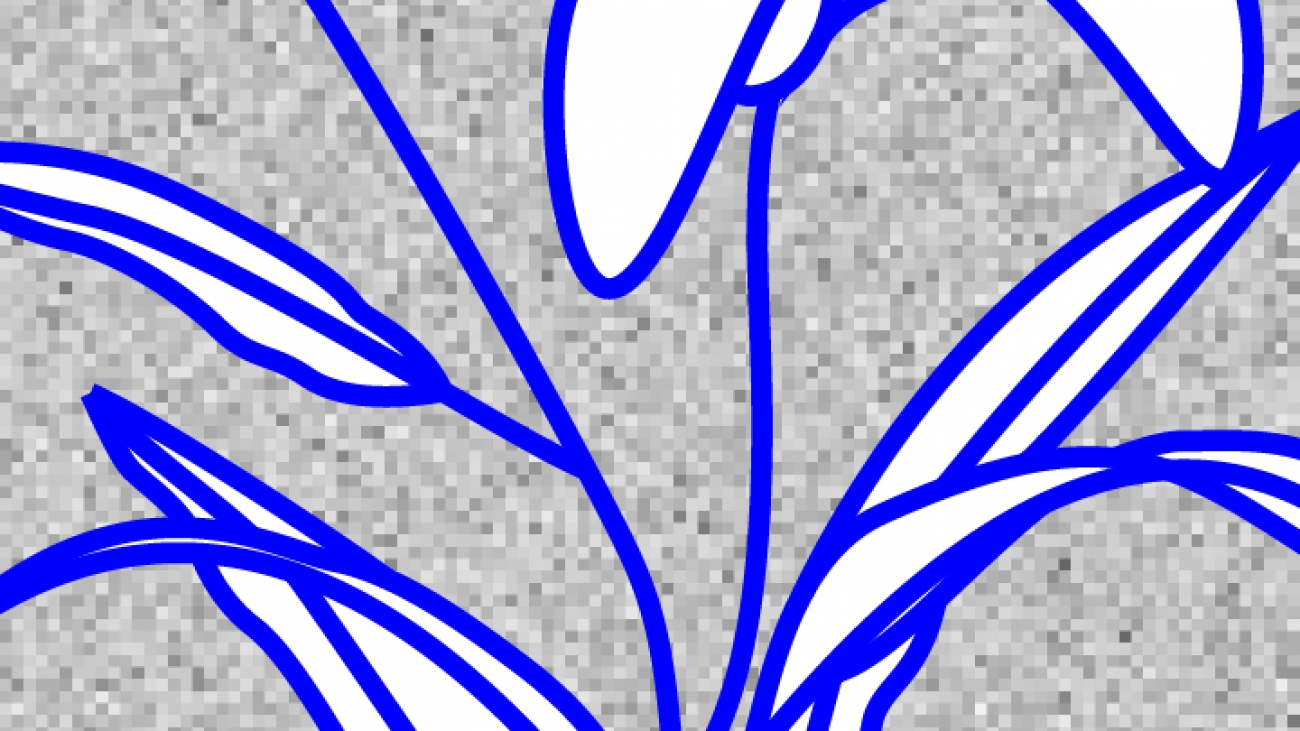 DPM_mini_www